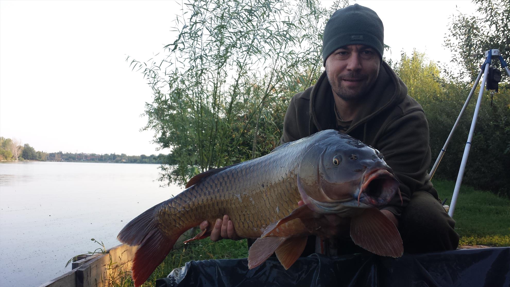 Hermes Peris 2 - 4 septembrie 2016 - 20160904081545.jpg